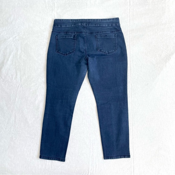 Reitman's Jeggings Style Jeans - 18P - Picture 2 of 4